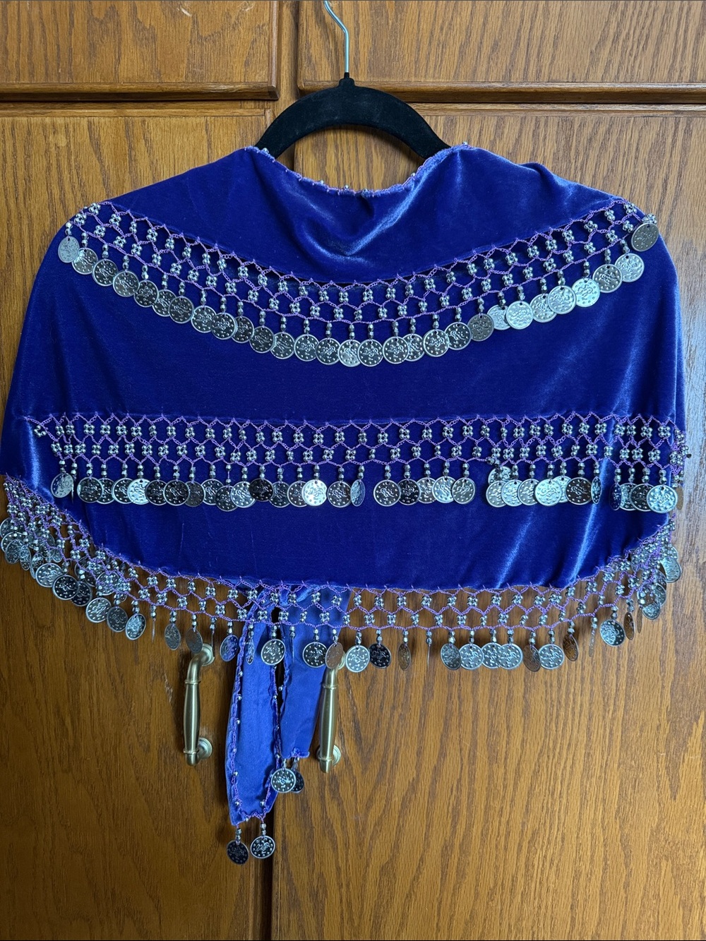 Velvet Coin Hip Scarf in Deep Purple - Women Accessories
